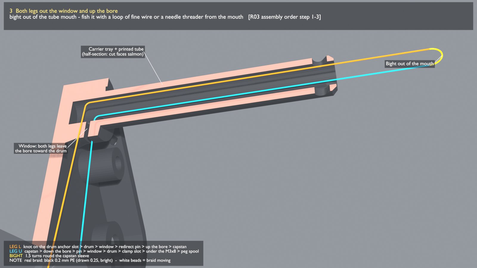 The carrier and tube cut in half: an orange and a cyan leg of braid turn a corner at the bottom and run up inside the tube